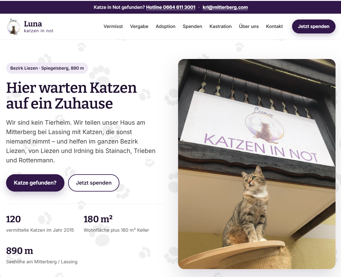Screenshot Katze in Not Liezen